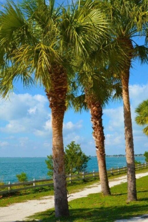 Miami: Visit to the Lighthouse - Key Biscayne - Brickell - FAQ