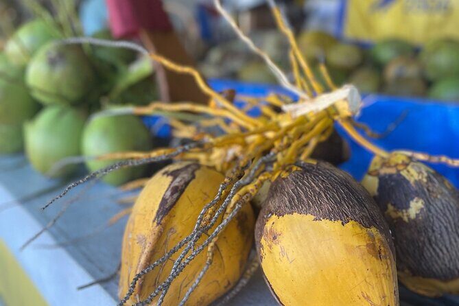 Miami's Most Authentic Walking Tour of Little Havana - FAQ