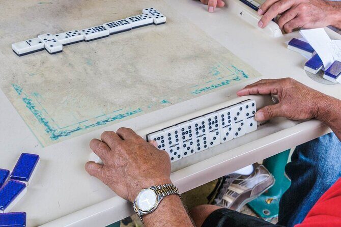 Miami's Top Bus and Citywalk Tour - Who Is This Tour Best For?