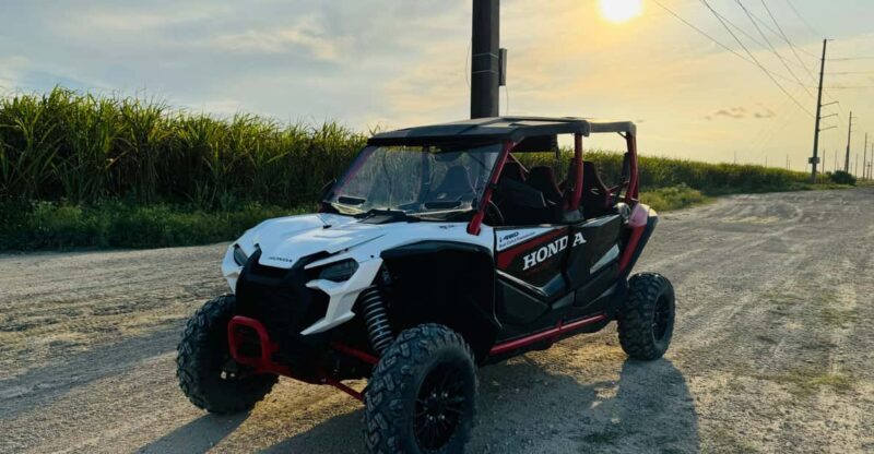 Miami's Ultimate Buggy Adventure on a Honda Talon UTV - Key Points
