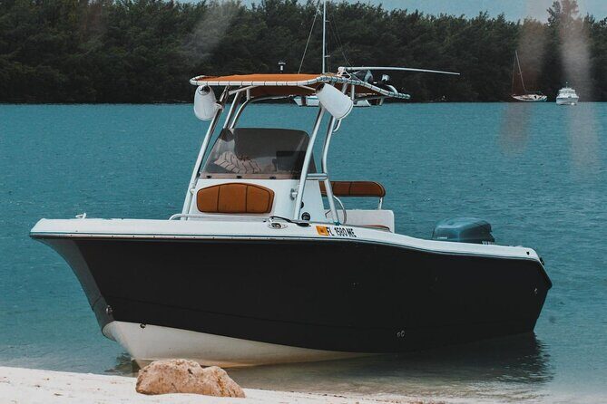 Miami's Unique Private Boat Tour: Discover & Enjoy Your Way - A Closer Look at the Miami Private Boat Tour