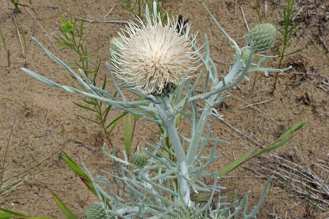 Michigan Lakeshore, M-22 Self-guided Driving Audio Tour - Key Points