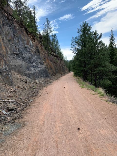 Mickelson Trail: 20-Mile Private Bicycle Tour - Pricing and Value