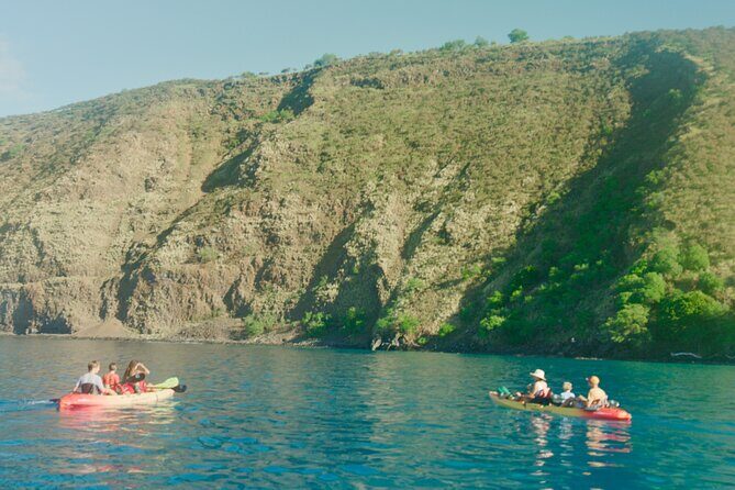 Midday Meander - Kealakekua Bay Kayak and Snorkel Adventure - The Group Dynamic and Tour Size