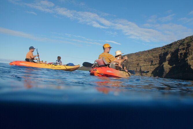Midday Meander - Kealakekua Bay Kayak and Snorkel Adventure - Final Thoughts: Is It Worth It?