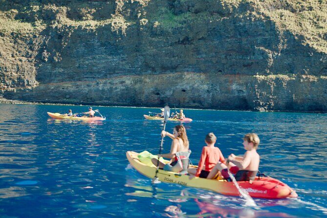 Midday Meander - Kealakekua Bay Kayak and Snorkel Adventure - FAQ