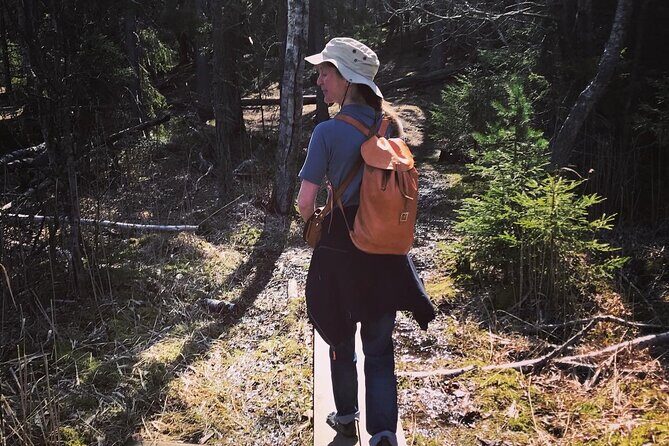 Midnight Sun and Campfire - National Park evening hike Stockholm - A Closer Look at the Stockholm Midnight Sun and Campfire Tour