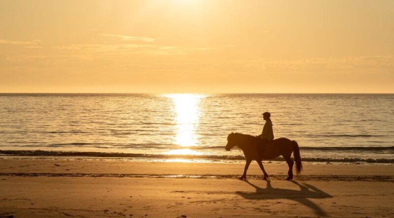 Midnight sun tour - Who Will Love This Tour?