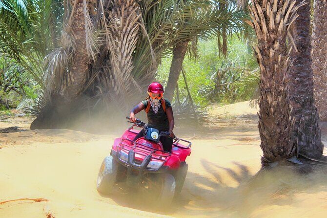 Migriño Beach ATV and Horseback Riding Experience - What to Expect on the Tour