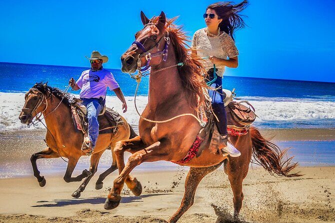 Migriño Beach Horseback Riding Experience - What to Expect from the Tour