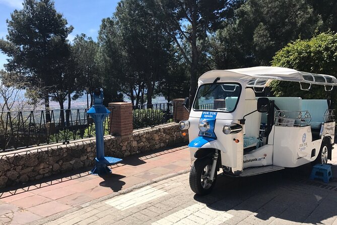 Mijas: Panoramic city tour in an electric Tuk Tuk - Accessibility and who should (or shouldn’t) book