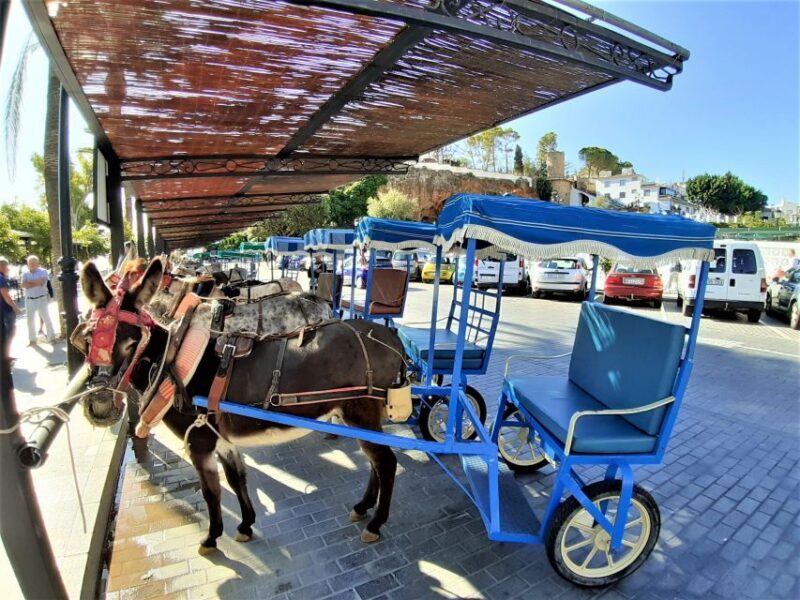 Mijas Pueblo: Private trip from Costa del Sol - Return Journey and Drop-off