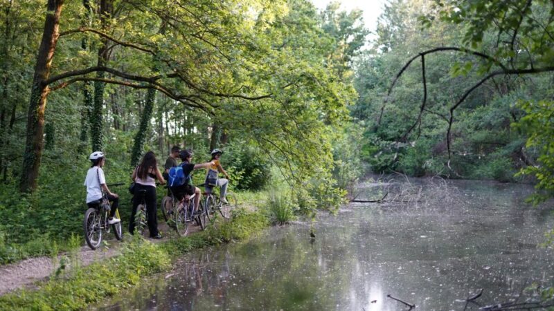 Milan: Bike Tour with Picnic on the turtle lake - The Logistics: What You Need to Know