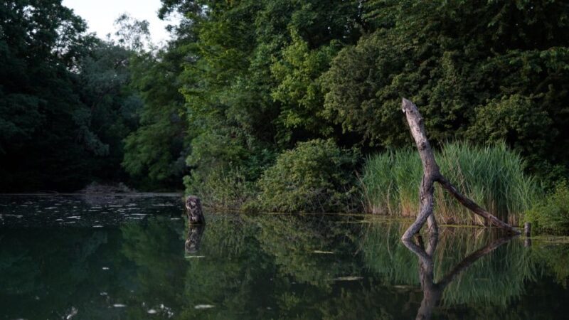 Milan: Bike Tour with Picnic on the turtle lake - Final Thoughts: Who Is This Tour Best For?