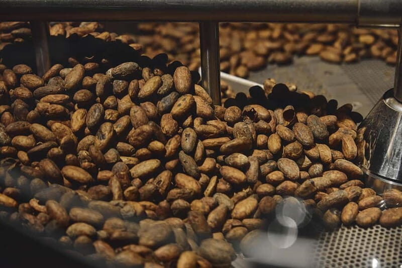 Milan: Enrico Rizzi Chocolate Factory Tour with tasting - An In-Depth Look at the Experience