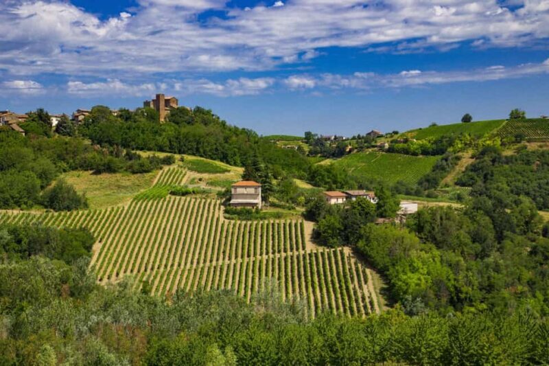 Milan, Oltrepò Winter Time: Craft & Bottle Your Own Wine - Discovering Oltrepò Pavese: Italy’s Hidden Wine Gem