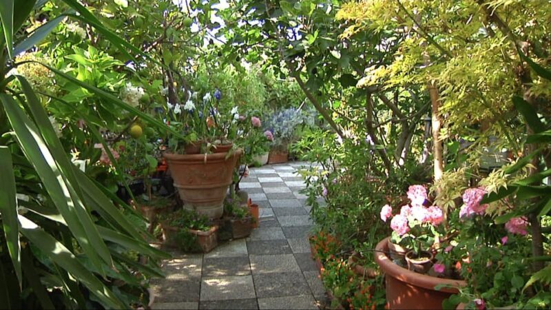 Milan: Pasta, Ravioli, and Gelato Class in a Glamorous Home - FAQ