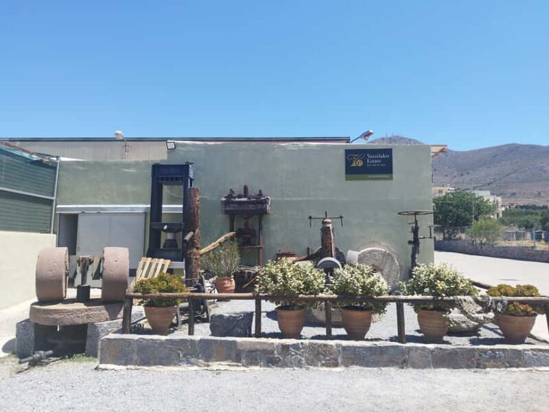 Milatos Cave & Vassilakis Olive Oil and Wine Tasting Combo - Wine Tasting: A Spectrum of Cretan Flavors