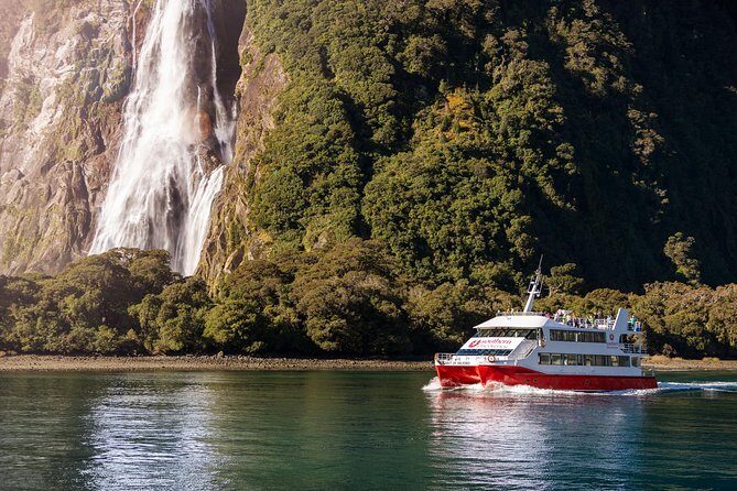 Milford Sound Coach & Cruise from Queenstown: Panoramic Views - Who Should Consider This Tour?
