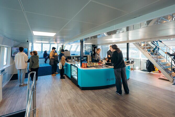 Milford Sound Coach & Cruise Tour from Te Anau - What Sets This Tour Apart