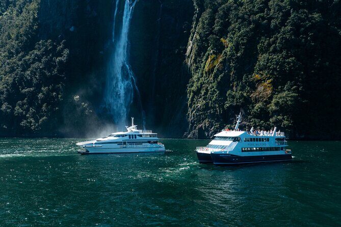 Milford Sound Cruise - Key Points