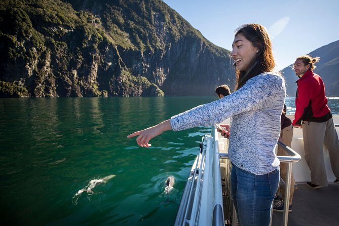 Milford Sound Cruise: Stunning Views & Optional Picnic or Buffet - Frequently Asked Questions