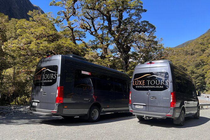 Milford Sound Full Day Tour from Te Anau with Cruise - The Itinerary and What to Expect