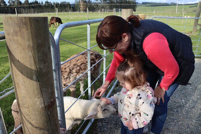 Milford Sound Nature and Te Anau Farm Visit Over 2 Days - Exploring Milford Sound and the Fiordland Region