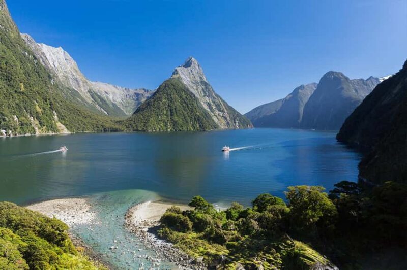 Milford Sound: Nature Cruise & Milford Track Walk - What to Expect from This Tour