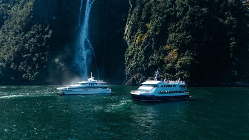 Milford Sound: Nature Cruise on a Modern Catamaran - Exploring Milford Sound on a Modern Catamaran: What to Expect