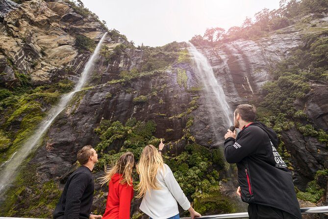 Milford Sound Nature Cruise with Southern Discoveries - The Experience in Detail
