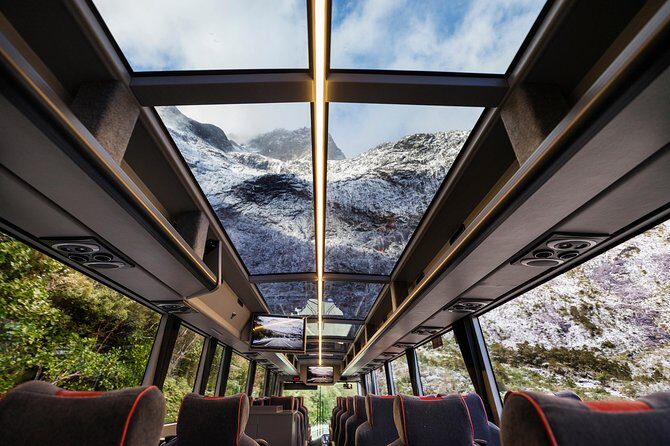 Milford Sound Premium Coach and Cruise with Lunch from Te Anau - Pricing and Value