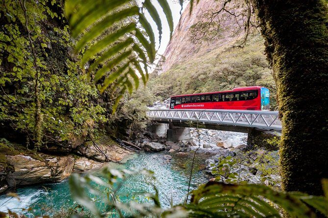 Milford Sound Premium Coach and Cruise with Lunch from Te Anau - Who Would Love This Tour?