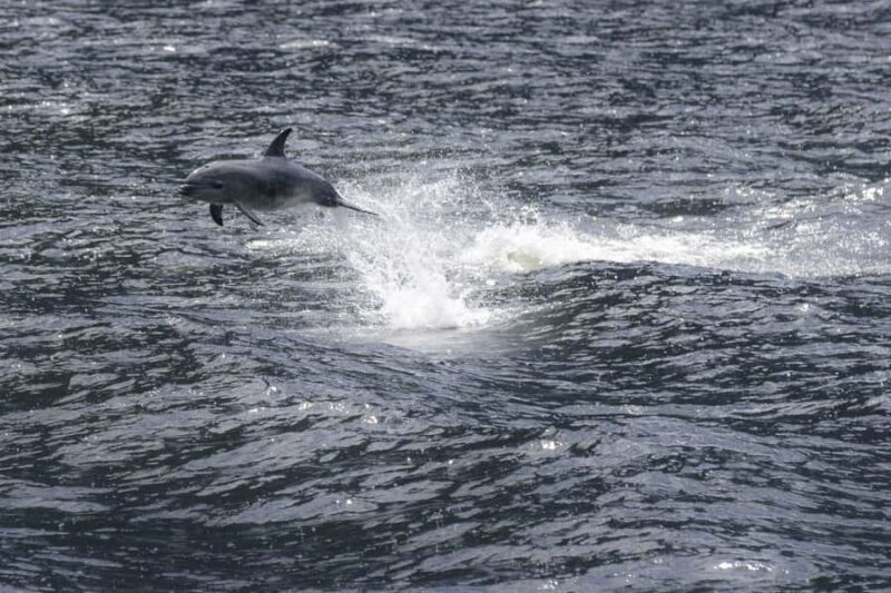 Milford Sound: Premium Small Group Cruise with Canape Lunch - Authentic Testimonials