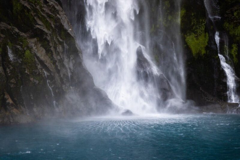 Milford Sound: Premium Small Group Cruise with Canape Lunch - Pricing & Value