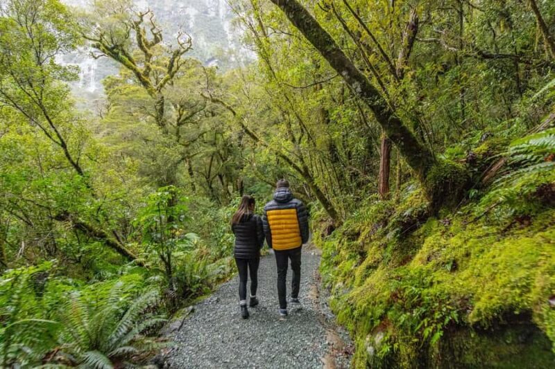 Milford Sound: Premium Small Group Tour from Queenstown - FAQ
