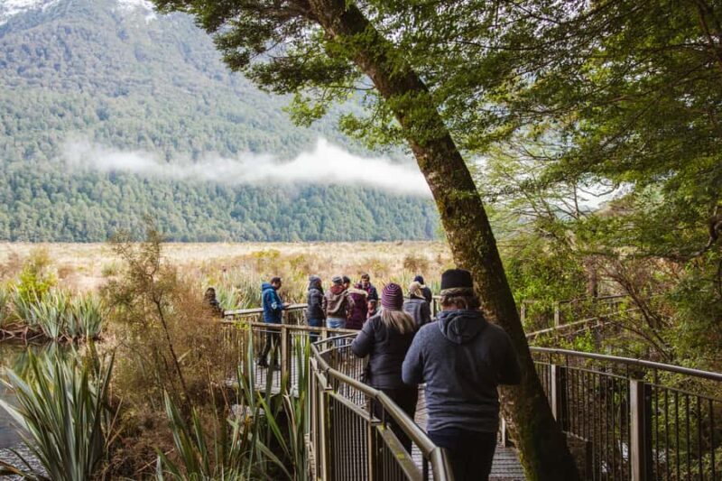 Milford Sound: Premium Small Group Tour from Queenstown - Final Word