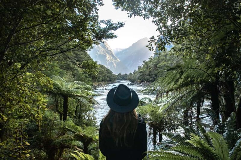 Milford Sound: Self-Guided Milford Track Day Walk - Key Points