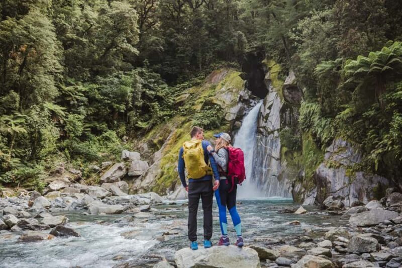 Milford Sound: Self-Guided Milford Track Day Walk - Who Is This Tour Best For?