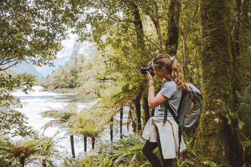 Milford Sound: Self-Guided Milford Track Day Walk - Final Thoughts
