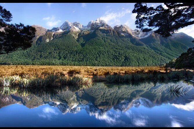 Milford Sound Small Group Day Tour From Queenstown - The Experience: Pros and Cons