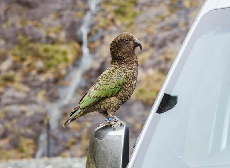 Milford Sound: Small-Group Tour from Te Anau - Final Thoughts