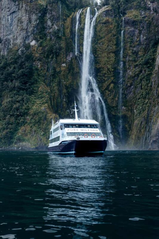 Milford Sound: Waterfalls, Wildlife, and Rainforest Cruise - What to Expect on the Milford Sound Cruise
