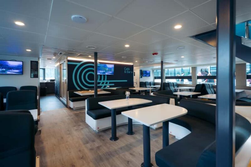 Milford Sound: Waterfalls, Wildlife, and Rainforest Cruise - Who Should Consider This Cruise?