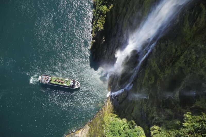 Milford Sound: Wildlife & Nature Cruises - Final Thoughts: Is This the Right Tour for You?