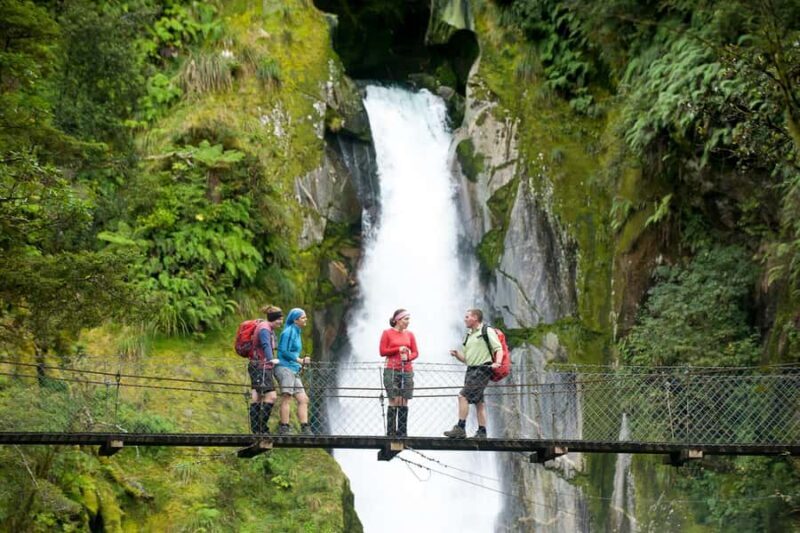 Milford Track: Full Day Guided Hike and Nature Cruise - Key Points