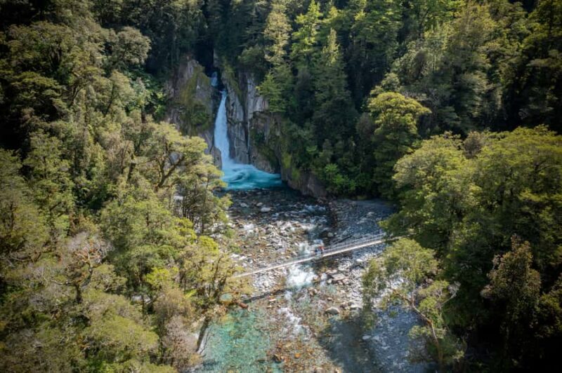 Milford Track: Full Day Guided Hike and Nature Cruise - Who Should Consider This Tour?