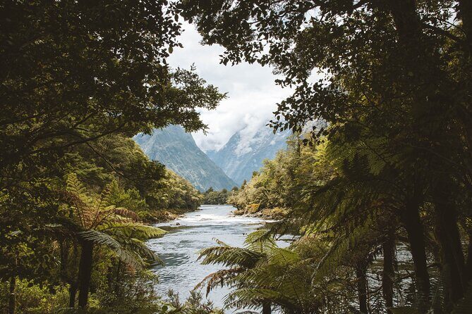 Milford Track Multi-Night Hike - Water Taxi Transport - FAQs