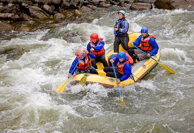 Milk Run Family Rafting Trip - The Experience from the Reviews