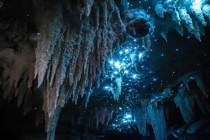 Milky Way Glowworm Cave Tour - Key Points